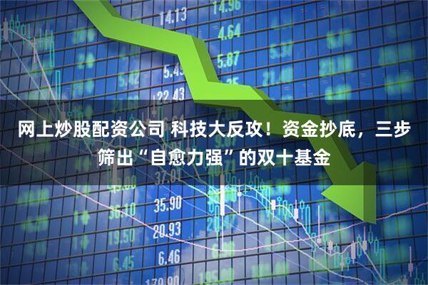 网上炒股配资公司 科技大反攻!资金抄底,三步筛出“自愈力强”的双十基金